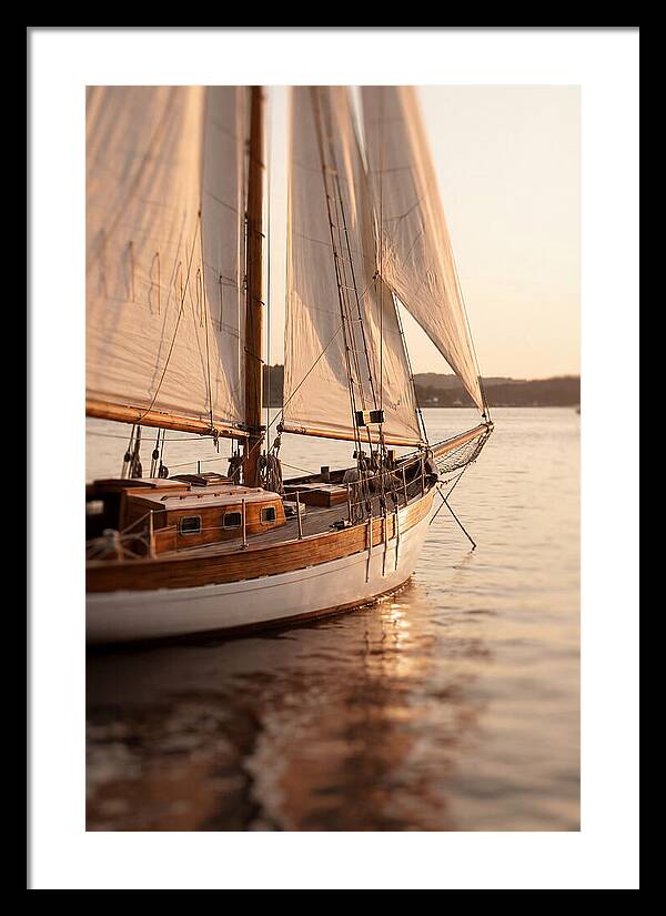 Sailing Into Serenity