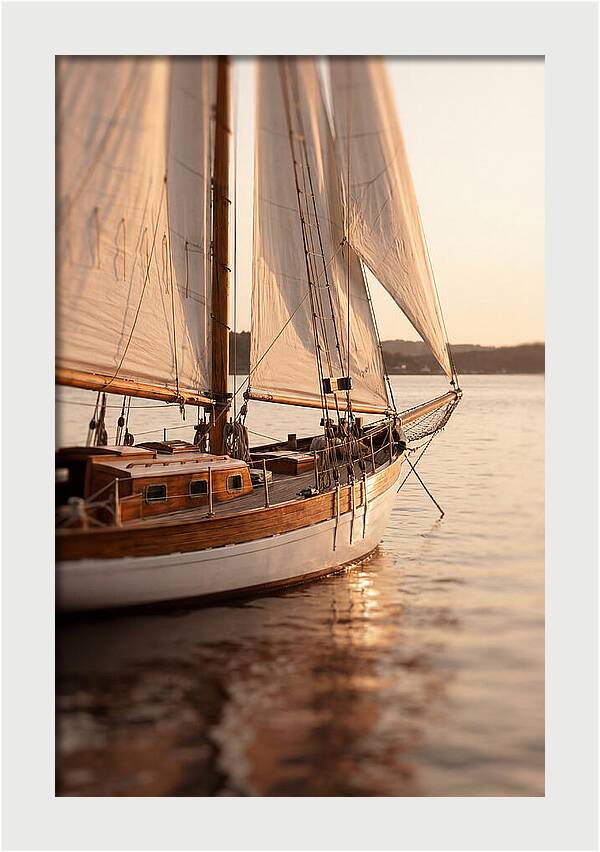 Sailing Into Serenity