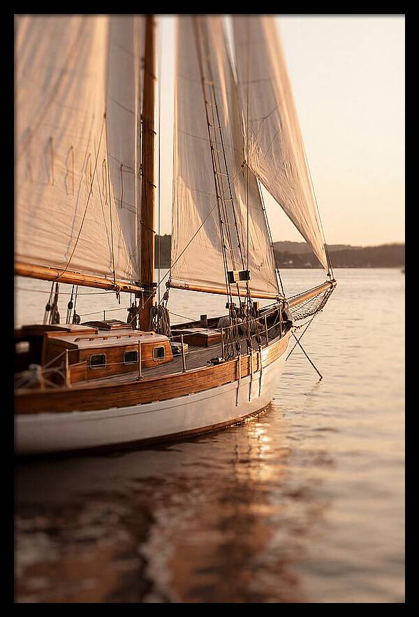 Sailing Into Serenity