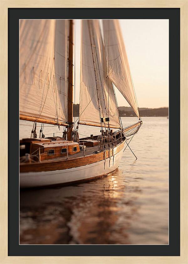 Sailing Into Serenity
