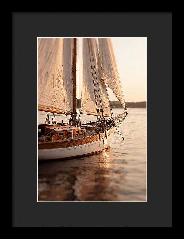 Sailing Into Serenity