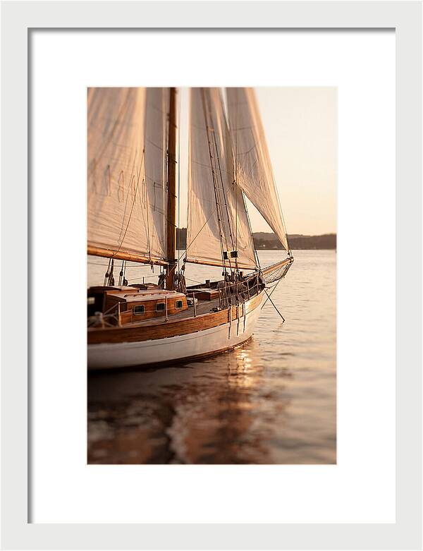 Sailing Into Serenity