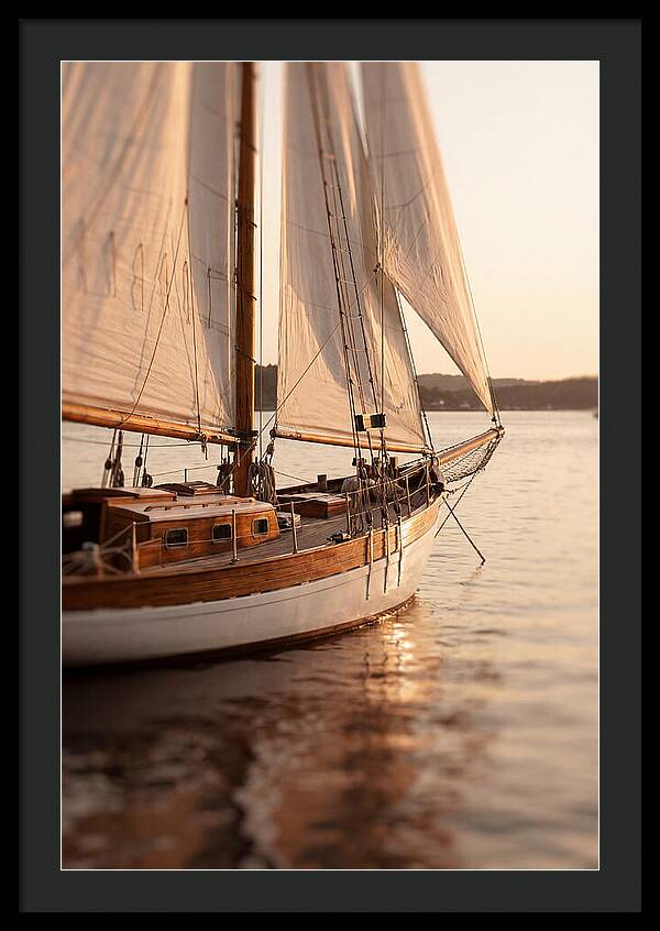 Sailing Into Serenity