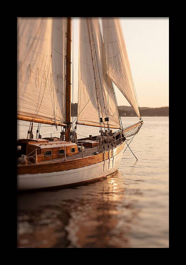 Sailing Into Serenity