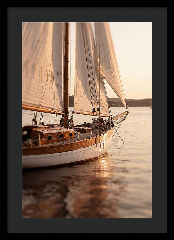 Sailing Into Serenity