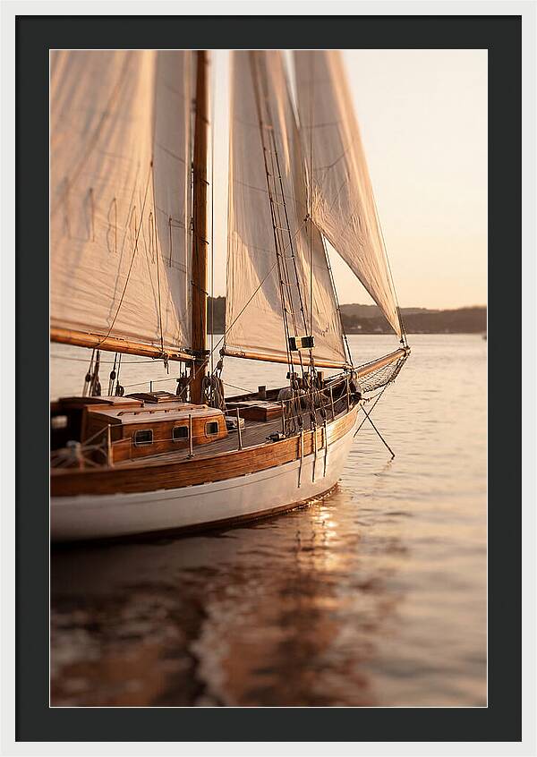 Sailing Into Serenity