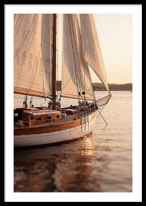 Sailing Into Serenity