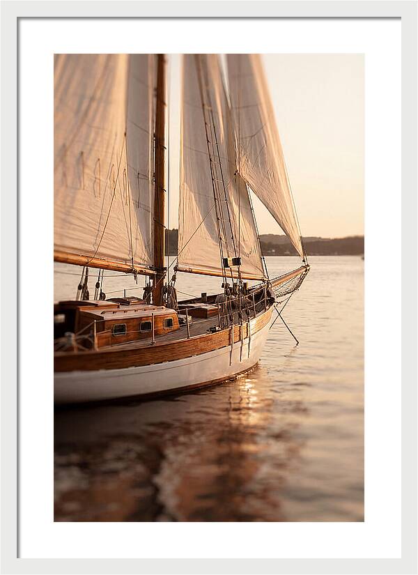 Sailing Into Serenity