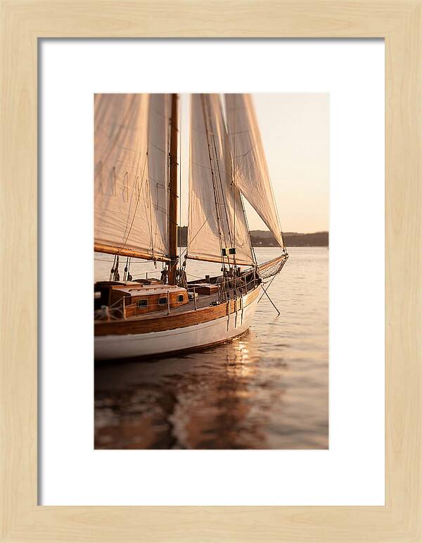 Sailing Into Serenity
