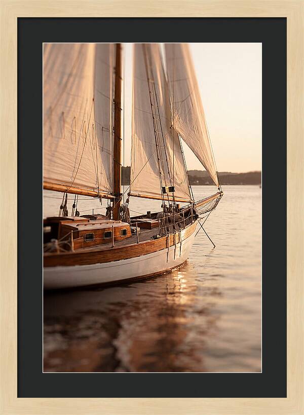 Sailing Into Serenity