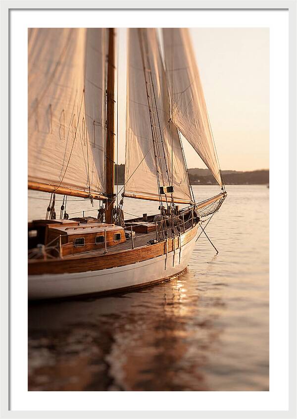 Sailing Into Serenity