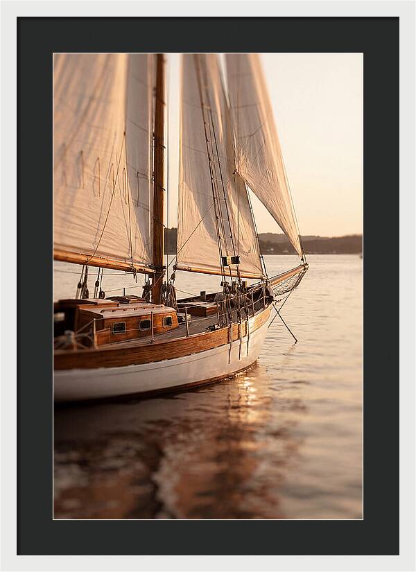 Sailing Into Serenity