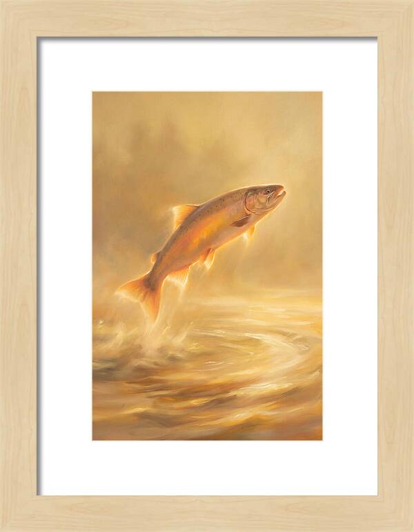 Salmon Leaping