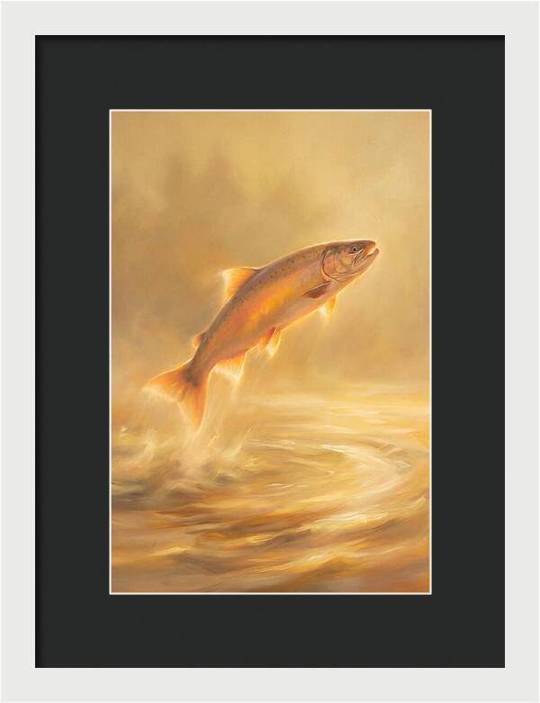 Salmon Leaping