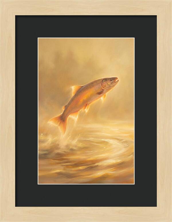 Salmon Leaping