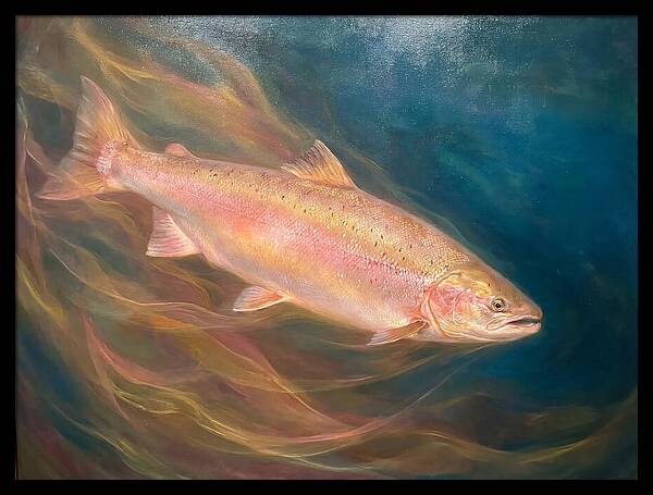 Salmon Swimming Through Water
