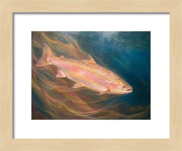 Salmon Swimming Through Water