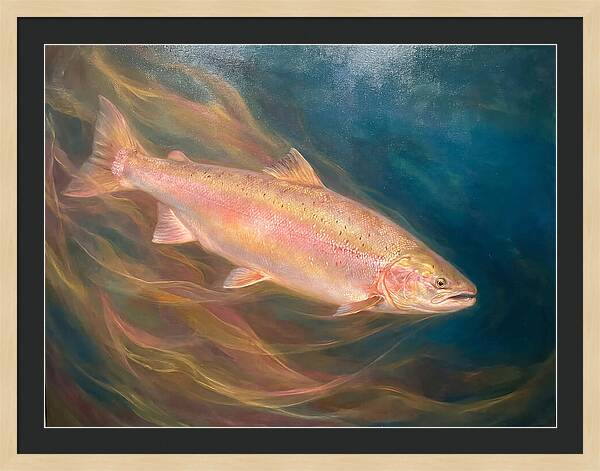 Salmon Swimming Through Water