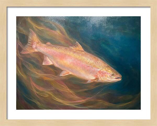 Salmon Swimming Through Water