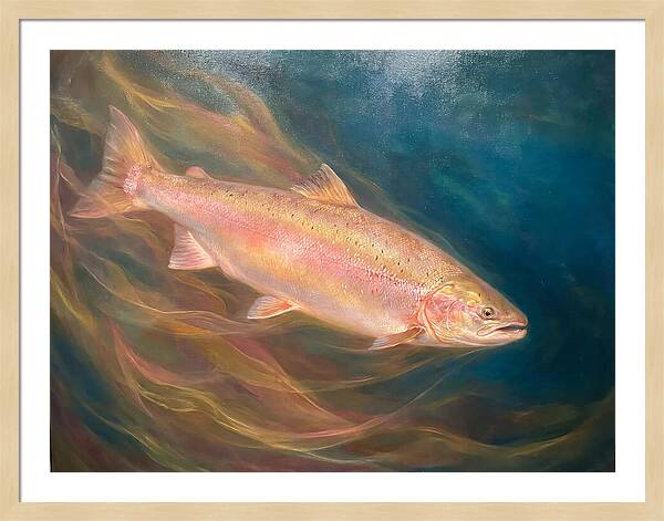 Salmon Swimming Through Water
