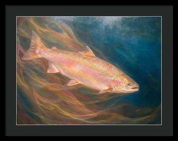 Salmon Swimming Through Water