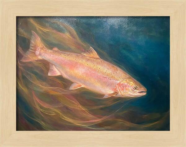 Salmon Swimming Through Water