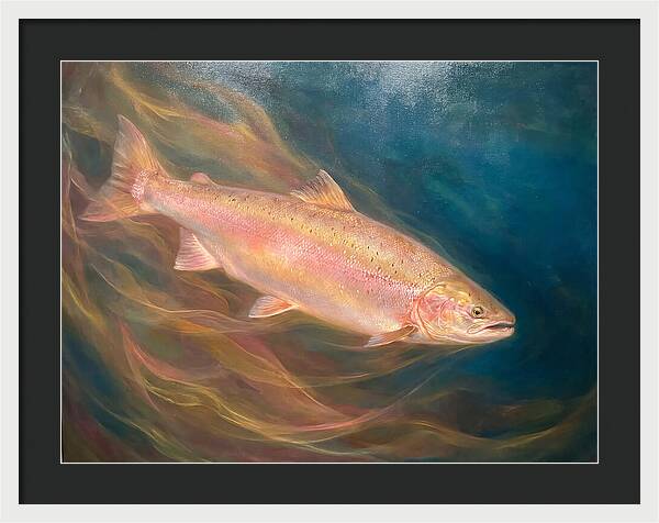 Salmon Swimming Through Water