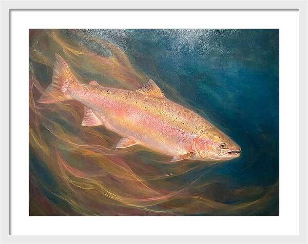 Salmon Swimming Through Water