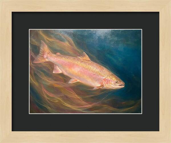 Salmon Swimming Through Water