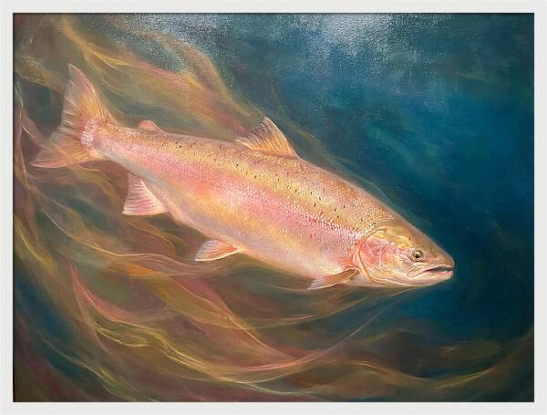 Salmon Swimming Through Water
