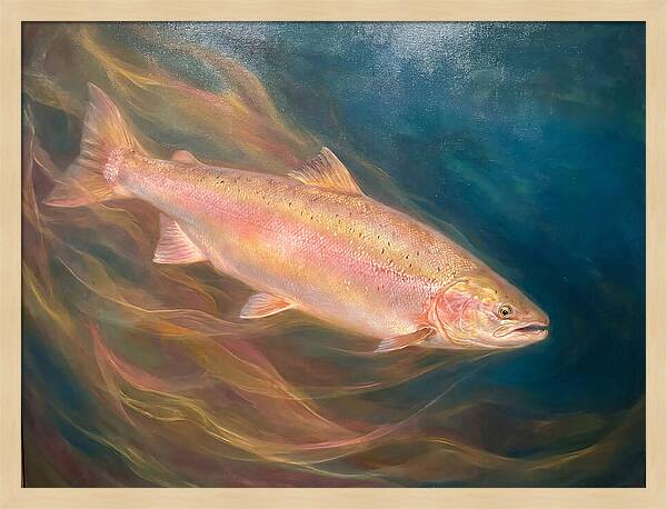 Salmon Swimming Through Water