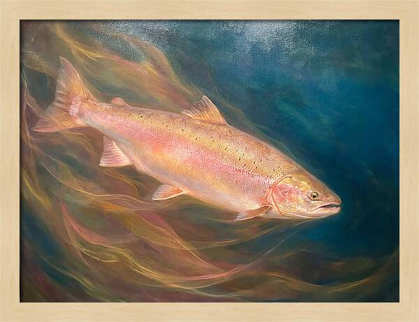 Salmon Swimming Through Water