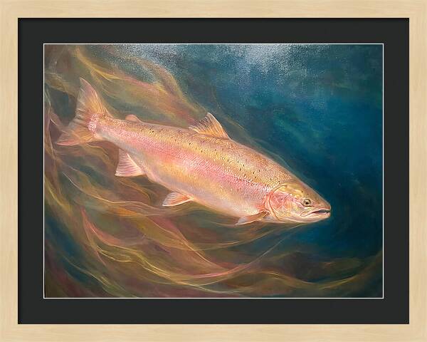 Salmon Swimming Through Water