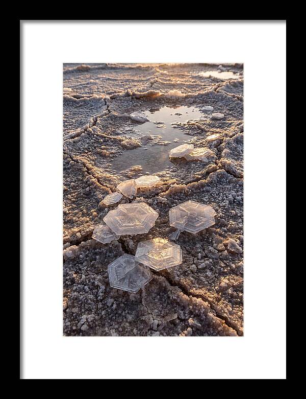 Salt Flat Crystals
