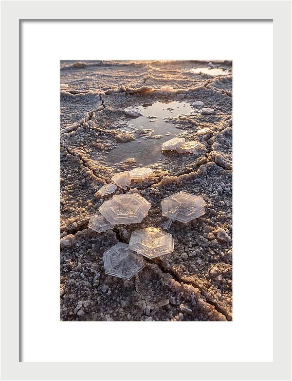Salt Flat Crystals