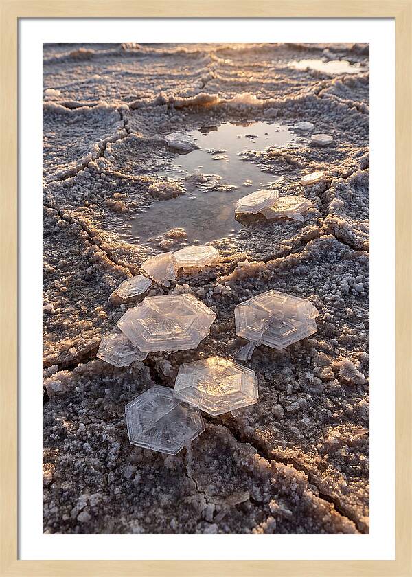Salt Flat Crystals