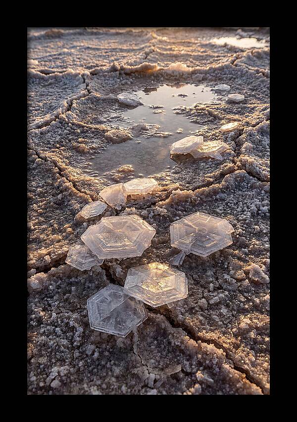 Salt Flat Crystals
