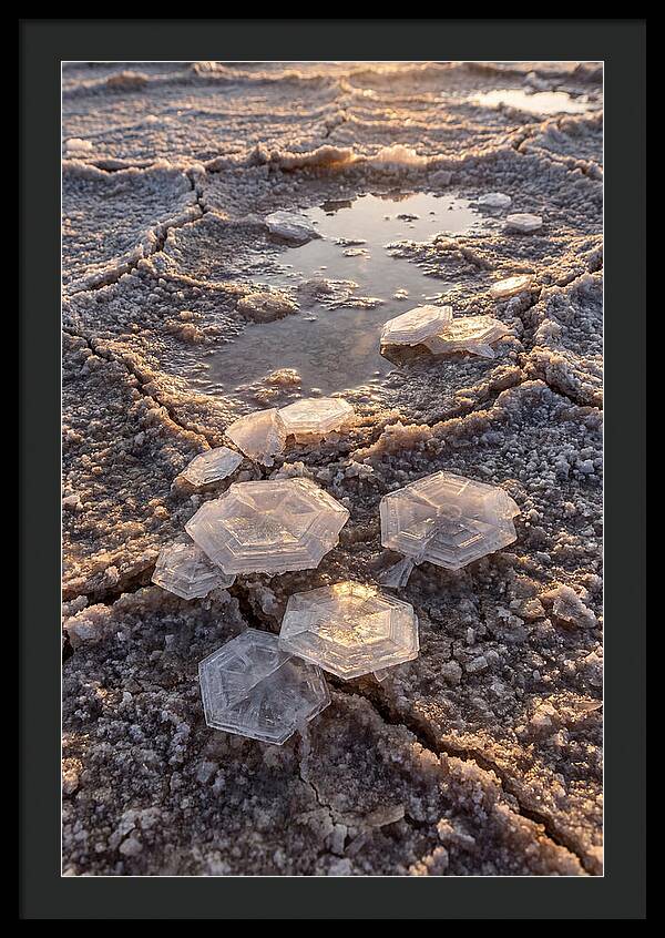 Salt Flat Crystals