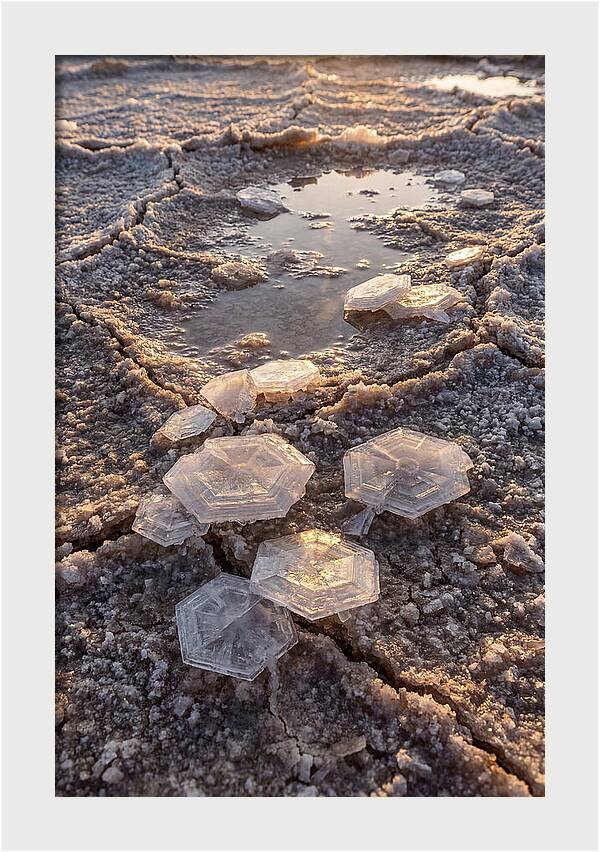 Salt Flat Crystals