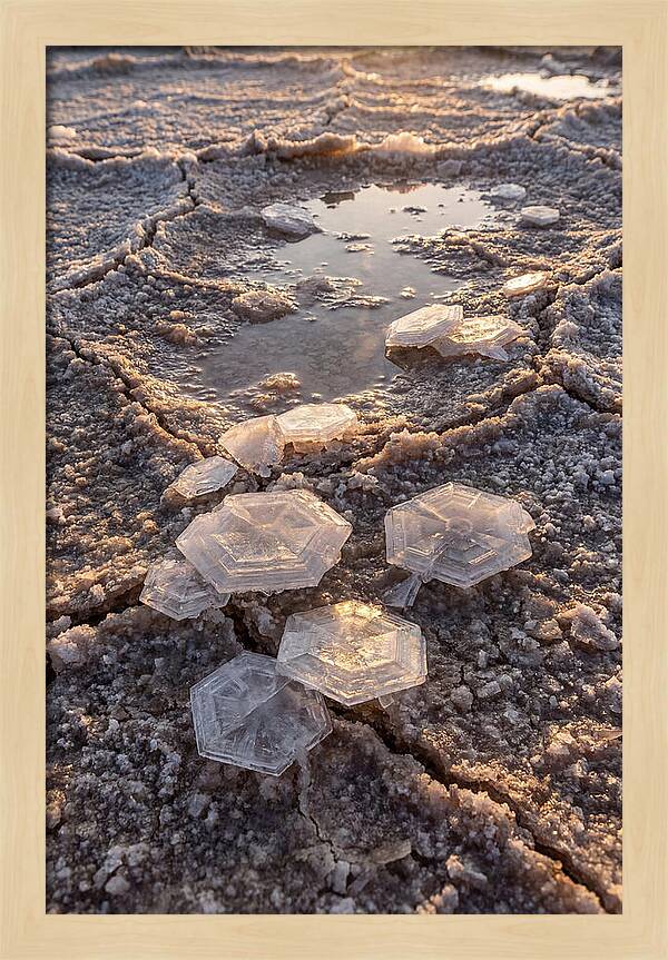 Salt Flat Crystals