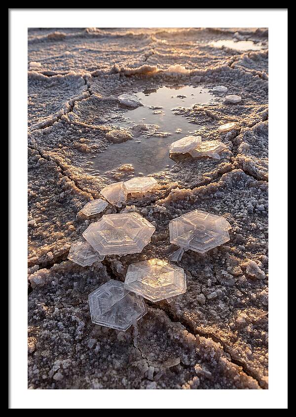 Salt Flat Crystals