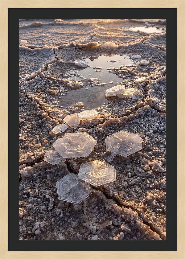 Salt Flat Crystals