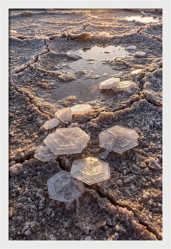 Salt Flat Crystals