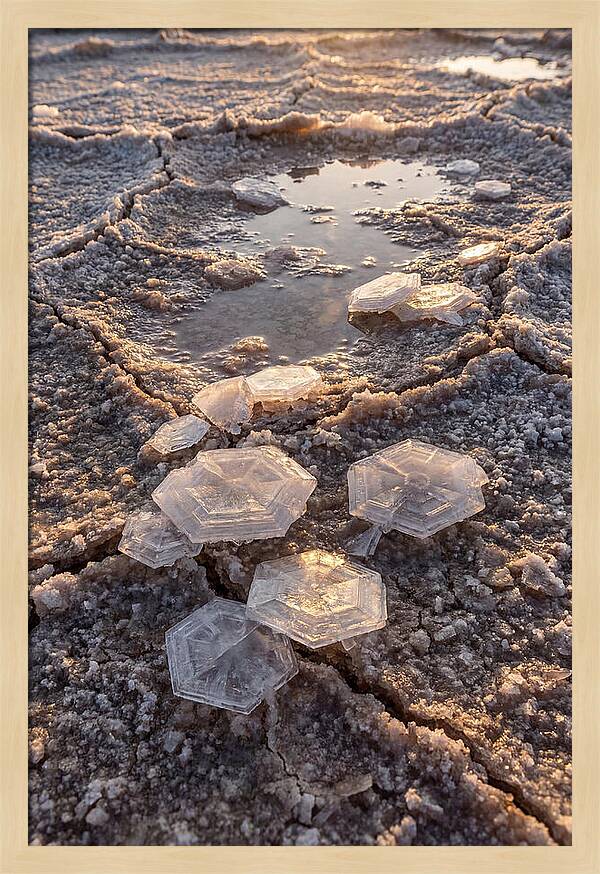 Salt Flat Crystals