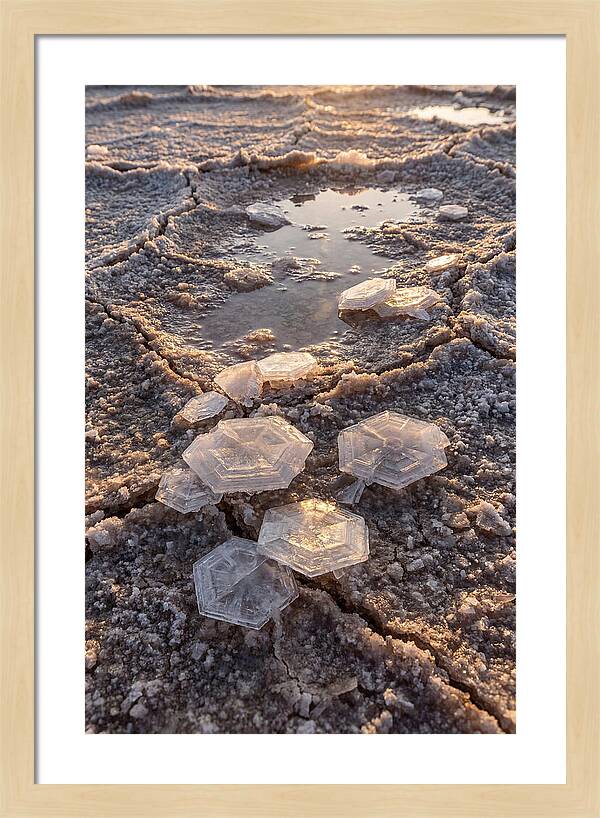 Salt Flat Crystals