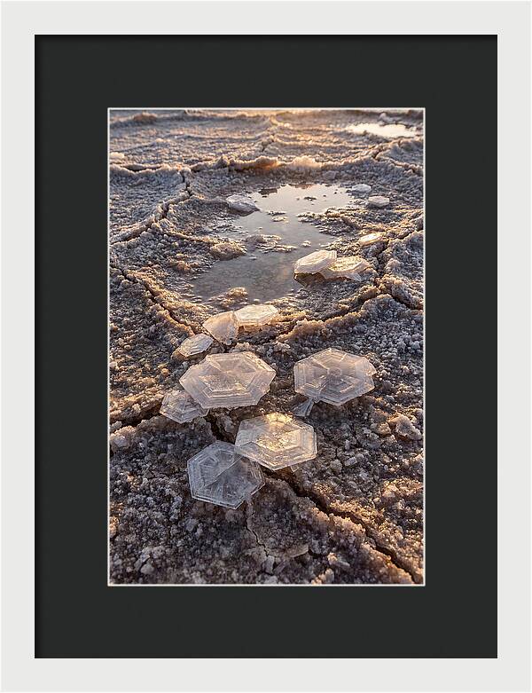 Salt Flat Crystals