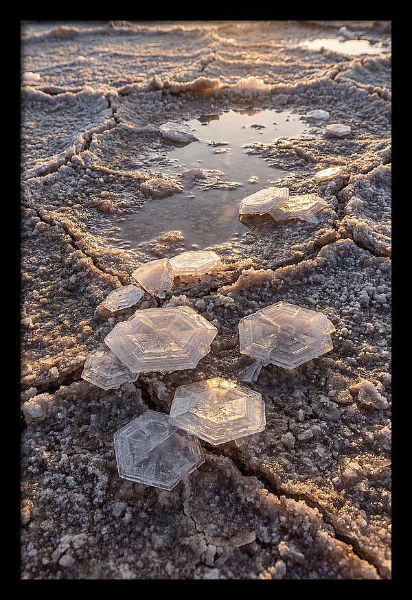 Salt Flat Crystals