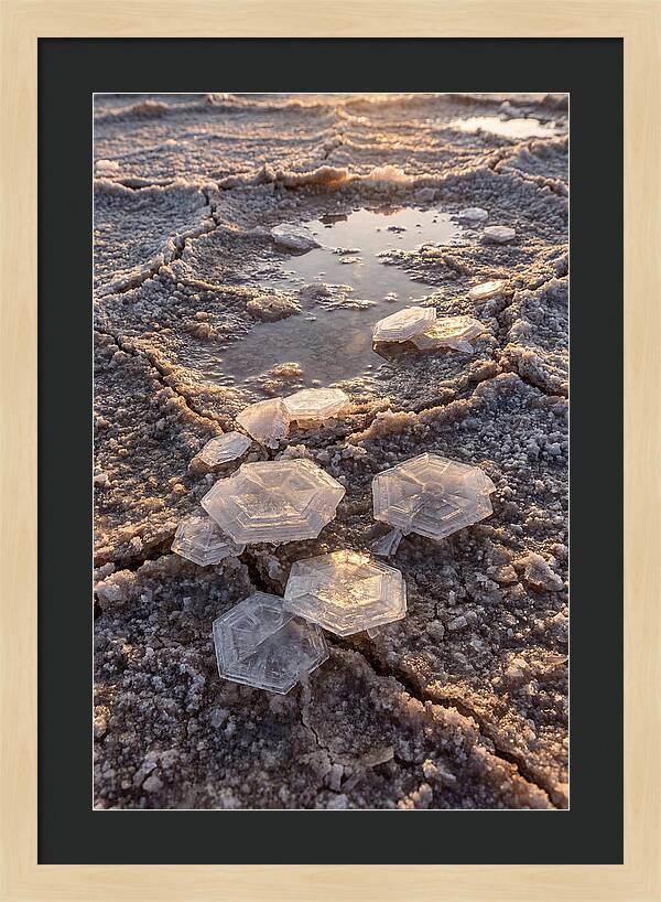 Salt Flat Crystals