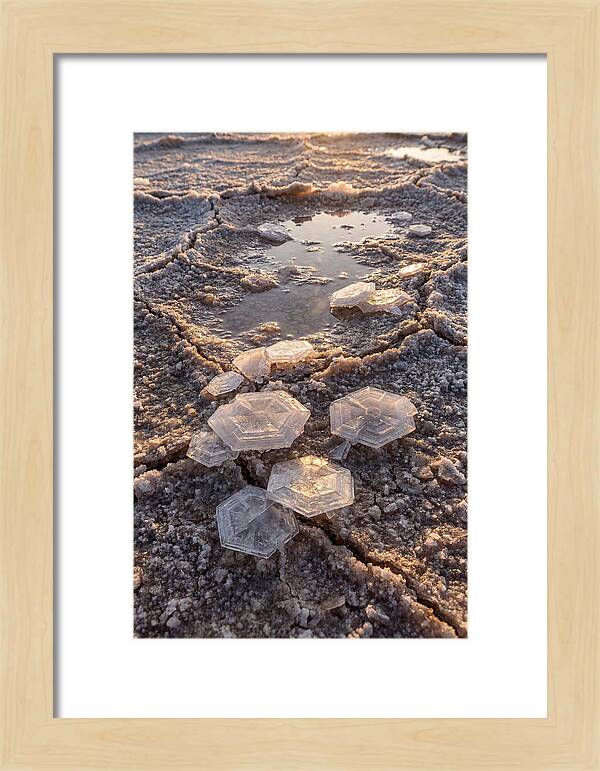 Salt Flat Crystals