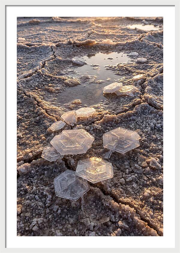 Salt Flat Crystals